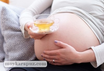 Эхинацея при беременности: способ применения