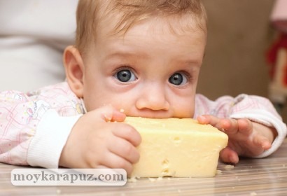 Как и когда можно давать сыр ребенку