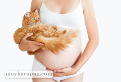 Будущая мама держит кота