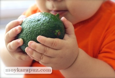 С какого возраста можно давать авокадо ребенку