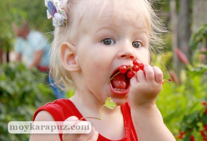 Девочка ест полезные ягоды