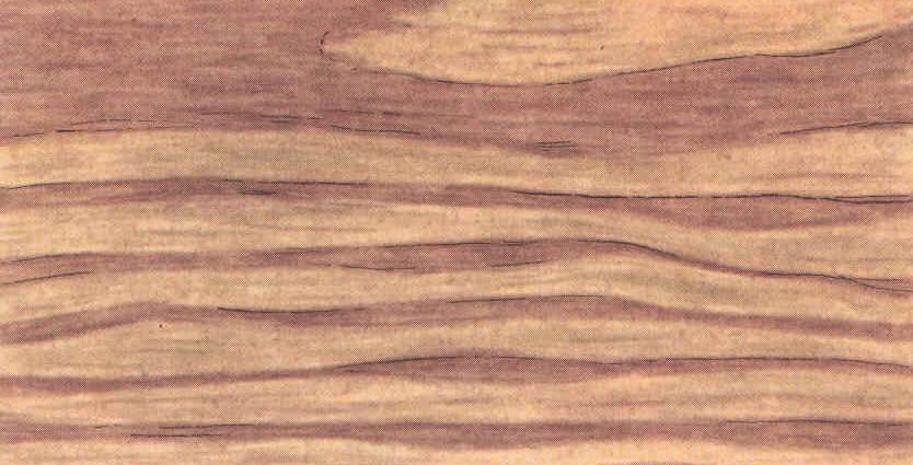Крупная фактура древесины
